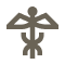 V6-icon (1)